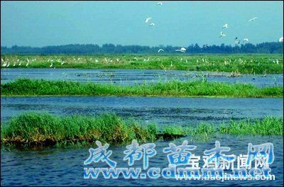 陕西千湖国家湿地公园今日开园