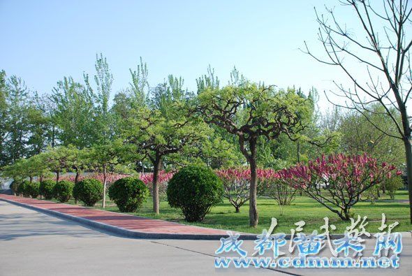 武警北京某部倾力打造“园林式”绿色警营