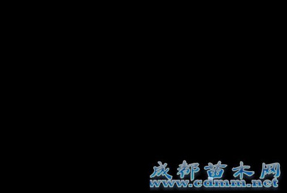 武警北京某部倾力打造“园林式”绿色警营