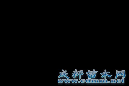 绍兴永胜新村百米绿化带被开垦成“私家菜园”