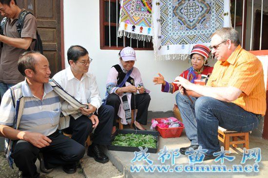 世界地质公园专家盛赞石林是世界地质公园保护,成都苗木网