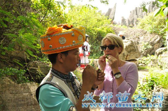 世界地质公园专家盛赞石林是世界地质公园保护,成都苗木网