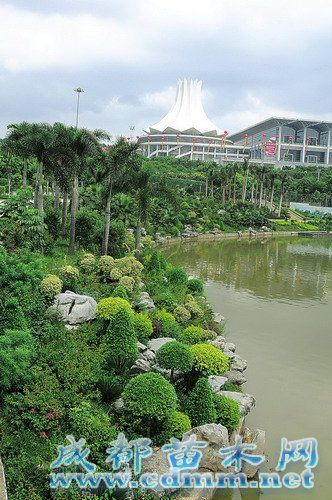 南宁:5个主题公园扮靓“一江两湖”,成都苗木网
