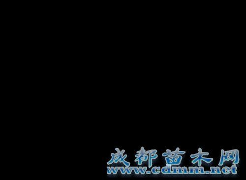 沈阳未来绿地将占城市规划面积21%