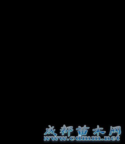 福州打造国内最长城市滨河景观休闲道
